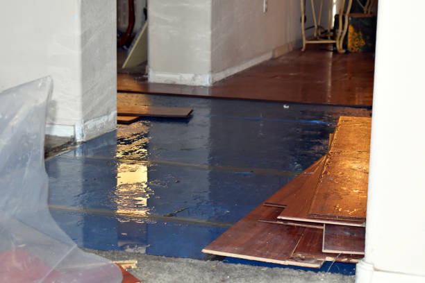 Professional Burst Pipe Cleanup technician working in Fletcher, MO